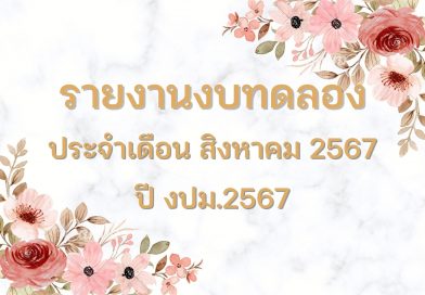 รายงานงบทดลองประจำเดือน สิงหาคม 2567