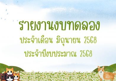 รายงานงบทดลองประจำเดือน มิถุนายน 2568